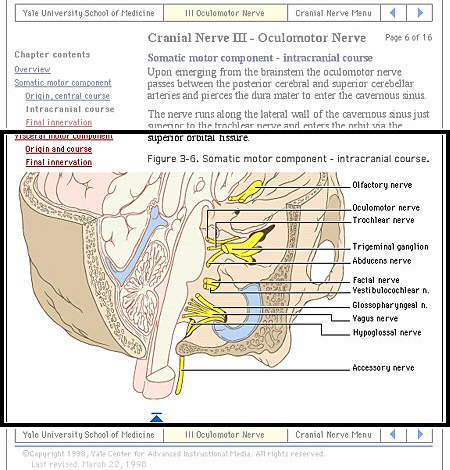 Omejen pogled na stran Cranial Nerve page