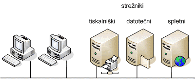 Specializirani strežniki